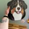 Bernese Mountain Dog Stained Glass Suncatcher- being held for size reference.