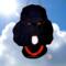 Poodle Stained Glass Suncatcher-  black
