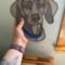 Weimaraner Stained Glass Suncatcher- shown being held for size reference.