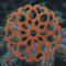 Handcrafted Wooden Victorian Style Fretwork Christmas Tree Ornament Made In the USA
