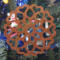 Handcrafted Wooden Victorian Style Fretwork Christmas Tree Ornament Made In the USA