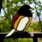 Junco- Oregon stained glass Suncatcher