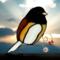 Oregon Junco stained glass Suncatcher