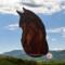 Arabian Horse- Chestnut- by Robin C. Hary of Robin's Glass World