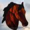 Morgan Horse- Bay