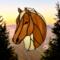 Quarter Horse- Palomino
