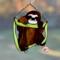 Baby Sloth Stained Glass Suncatcher by Robin C. Hary- shown in Dark Brown.