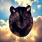 Wolf Suncatcher by Robin C. Hary- shown in Black