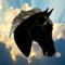 American Saddlebred by Robin C. Hary- Shown in Black.