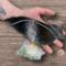 Crow stained glass suncatcher by Robin C. Hary being held for size reference- h: 7" x w: 5".