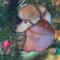 Poodle stained glass ornament shown in Apricot- close up hanging in a Christmas Tree.