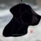 Labrador Retriever stained glass ornament- black.
