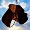 Boxer stained glass ornament- Brindle natural ears.