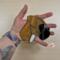 Boxer stained glass ornament- Fawn natural ears- shown being held for size reference. Approx. 4" x 4.5"