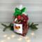 Irish Twins Apple Cinnamon Potpourri bag with green ribbon, pine branches, and small twinkling lights.