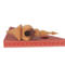 Handcrafted miniature wooden birdhouse ornament shaped like an icecicle with a pointed roof and base, featuring a rounded entrance hole and a perched bird, and made from reclaimed hardwoods finished with a satin shellac.