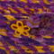 This is a close up of the 3 buttons anchoring the knot at the end of the fabric rope.