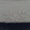 This is the lace covering the blemish on the underside of the plate.
