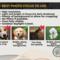 Best photo tips graphic showing ideal lighting, focus, and background for pet photos.