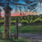 Winery Landscape Painting, "Summer's Evening Guiding Light"