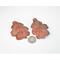 Copper Oak Leaf Earring with dime