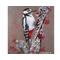 Close up of WoodPecker Painting