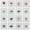 Color Options