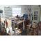 Wild Gatherings Studio