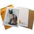 Print in mat shipping package
