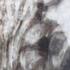 Gray/Tabby