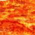 Red/Tabby