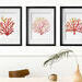 Coral Watercolor Silhouettes, Digital Downloads