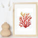 Coral Watercolor Silhouettes, Digital Downloads