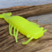 Neon shrimp bait