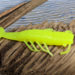 Neon Shrimp lure by MasterBait