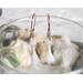 Fine Silver Milk Quartz Tassel Earrings