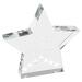 Silver/clear star award