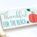 Thankful For The Beach Autumn Sign, Coastal Pumpkin Sign, Beachy Fall Decor