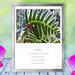 An ice covered fern shimmers in the morning light in this peaceful, colorful, nature photo with poem - Fern Arch by The Poetry of Nature