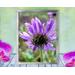 A purple daisy braves the storm as the hail pounds down upon it in this encouraging, uplifting, print with poem - Mountain Rain by The Poetry of Nature