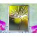 A single dandelion seed gets ready to fly in this peaceful, spiritual, photo with poem - New Soul by The Poetry of Nature