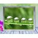 Four drops of water rest on a blade of grass reflecting the world around them, in this beautiful, peaceful, nature photo with poem-Water Parks by The Poetry of Nature