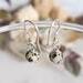 Dalmatian Jasper Sterling Silver Earrings