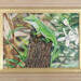 anole painting