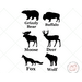 images of wild animals reusable stencils