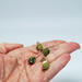 Long Raw Green Garnet Nugget Gemstone Earrings