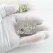 hand holding a Miniature Silver Trinket Box with february birthstone amethyst gemstone