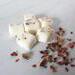 Scented Soy Wax Melts with Botanical Herbs