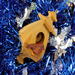 Handmade Wood Birdhouse Ornament Collectable Christmas Tree Ornament shapeed like a Christmas tree. Made from select-grade hardwoods, hand-sanded, and finished with a custom blend of oils and waxes using traditional woodworking tools.