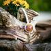 memorial jewelry